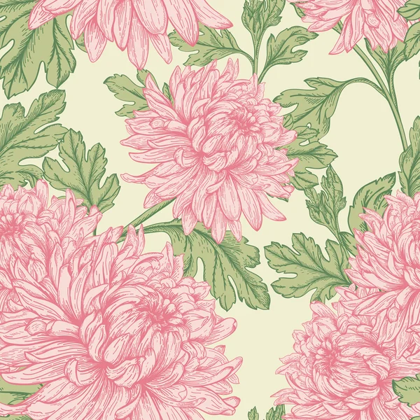 pembe kasımpatı çiçekleri