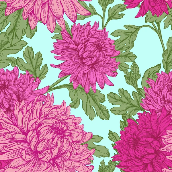 Roze chrysant bloemen — Stockvector