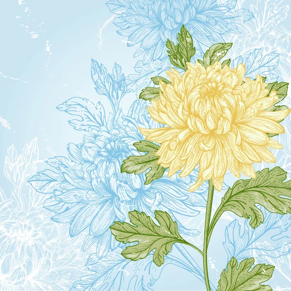 Bloem chrysant — Stockvector