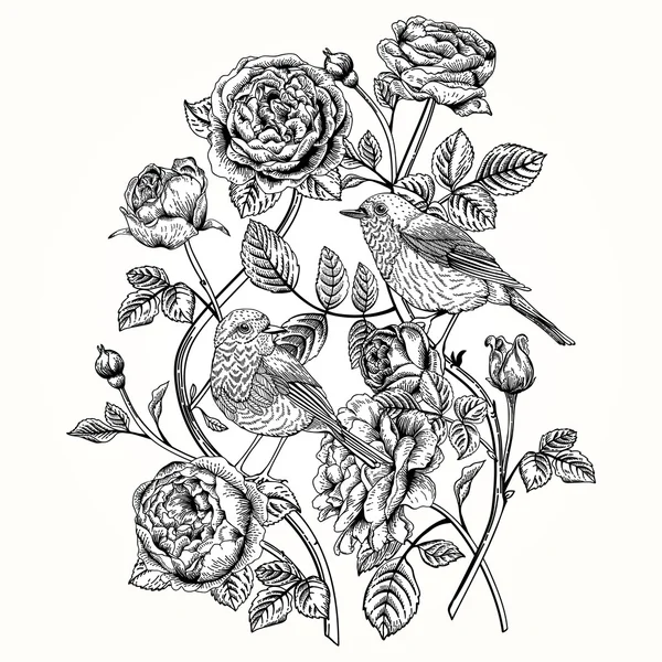 Carte avec roses et oiseaux . — Image vectorielle