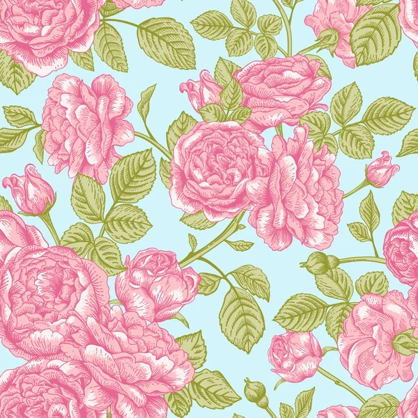 ピンクのバラとパターン — ストックベクタ