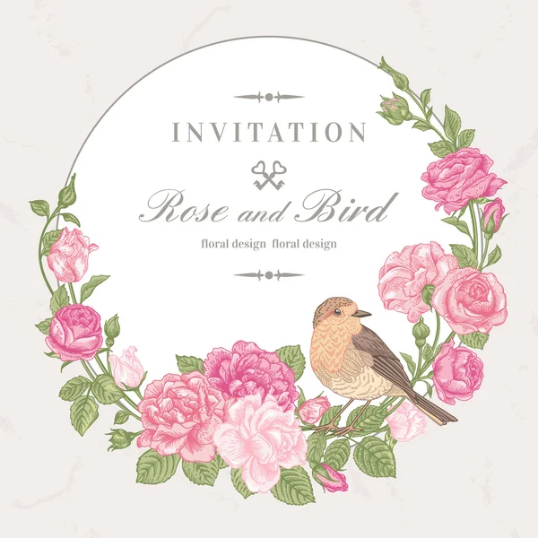 Roses et oiseaux — Image vectorielle