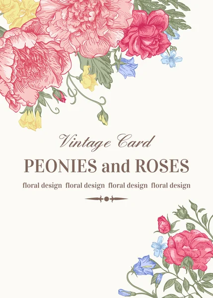 Kort med rosor och pioner. — Stock vektor