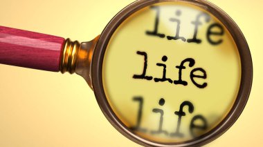 Hayatı incele ve incele, analiz etme, keşfetme, öğrenme ve hayata daha yakından bakma sürecini sembolize etmek için bir büyüteç ve kelime yaşamı olarak gösterildi.