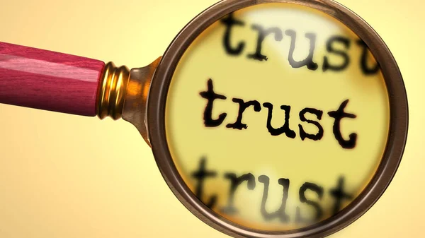 Examine Study Trust Showed Magnify Glass Word Trust Symbolize Process — Stock Photo, Image