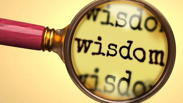 지혜를 자세히 살펴보고 연구하는 지혜를 분석하고 탐구하고 배우고 자세히 살펴보는 — 스톡 사진