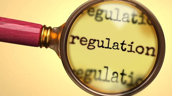 Examine Study Regulation Showed Magnify Glass Word Regulation Symbolize Process — Stock Photo, Image