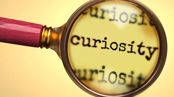 Examine Estudie Curiosidad Mostrada Como Una Lupa Curiosidad Palabra Para — Foto de Stock