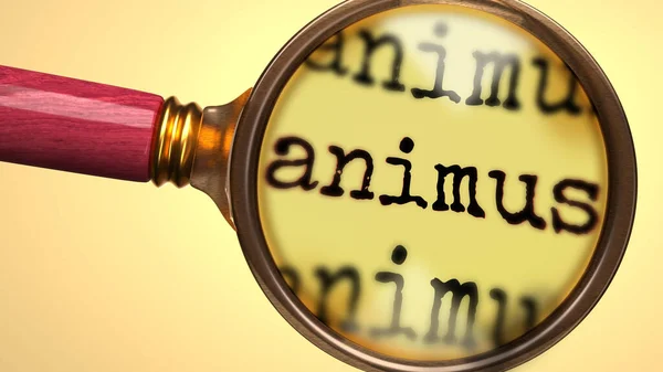 Vizsgáljuk Meg Tanulmány Animus Megmutatta Mint Egy Nagyító Szó Animus — Stock Fotó