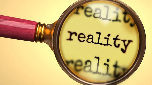 Examinar Estudar Realidade Mostrou Como Uma Lupa Realidade Vidro Palavra — Fotografia de Stock