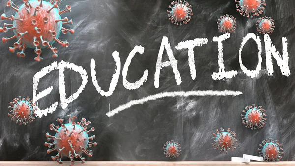 Education and covid virus - pandemic turmoil and Education pictured as corona viruses attacking a school blackboard with a written word Education, 3d illustration