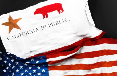 1. Ayı bayrağı, Amerika Birleşik Devletleri bayrağıyla birlikte, aralarındaki birliğin sembolü olarak, 3D illüstrasyon.