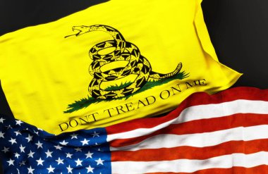 Gadsden bayrağı, Amerika Birleşik Devletleri bayrağıyla birlikte, aralarındaki birliğin sembolü olarak, 3D illüstrasyon