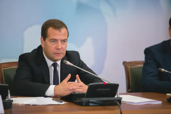 Dmitry Anatolyevich Medvedev Imagens Royalty-Free