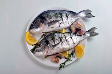 Limon dilimleriyle doldurulmuş Dorado balığı ve pişirmek için yeşil biberiye.