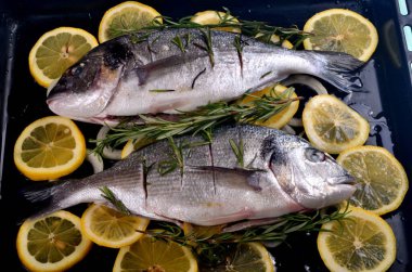 Limon dilimleriyle doldurulmuş Dorado balığı ve pişirmek için yeşil biberiye.