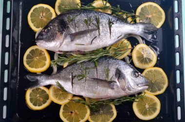 Limon dilimleriyle doldurulmuş Dorado balığı ve pişirmek için yeşil biberiye.