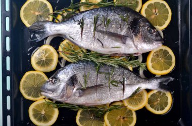 Limon dilimleriyle doldurulmuş Dorado balığı ve pişirmek için yeşil biberiye.