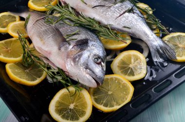 Limon dilimleriyle doldurulmuş Dorado balığı ve pişirmek için yeşil biberiye.