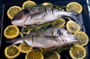 Limon dilimleriyle doldurulmuş Dorado balığı ve pişirmek için yeşil biberiye.