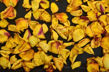 Siyah arka planda kurutulmuş sarı gül yaprakları.