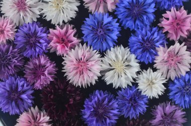 Taze çiçeklerden yapılmış su tabakasında farklı renkte bir mandala..