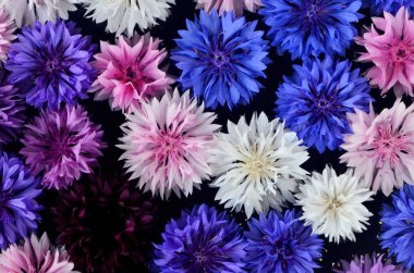 Taze çiçeklerden yapılmış su tabakasında farklı renkte bir mandala..