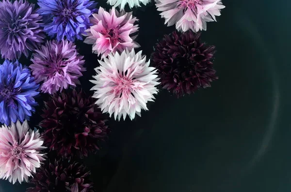 Taze çiçeklerden yapılmış su tabakasında farklı renkte bir mandala..