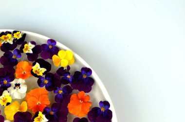 Taze çiçeklerden yapılmış su tabakasında yüzen çok renkli çiçek mandala. Çiçekli çiçek arkaplanı. Çiçek mozaiği. Çiçek kartı