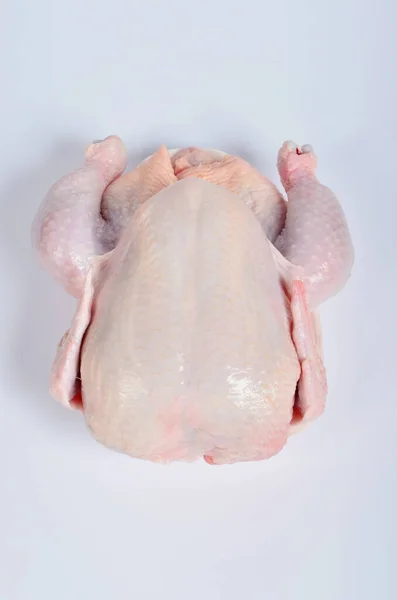 Raw Fresh Chicken White Background — Stock Photo, Image