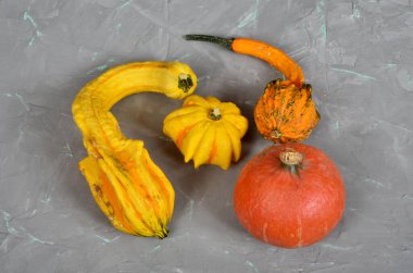 Yeşil damarlı gri beton duvarda dekoratif balkabakları