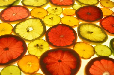 Dilimlenmiş narenciye arkaplanı bir ışık masasında. Şeffaf narenciye dilimleri. Kırmızı greyfurt, portakal, limon, limon, mandalina