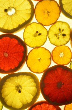 Dilimlenmiş narenciye arkaplanı bir ışık masasında. Şeffaf narenciye dilimleri. Kırmızı greyfurt, portakal, limon, limon, mandalina