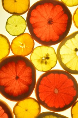 Dilimlenmiş narenciye arkaplanı bir ışık masasında. Şeffaf narenciye dilimleri. Kırmızı greyfurt, portakal, limon, limon, mandalina