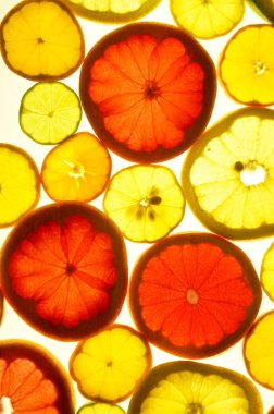 Dilimlenmiş narenciye arkaplanı bir ışık masasında. Şeffaf narenciye dilimleri. Kırmızı greyfurt, portakal, limon, limon, mandalina