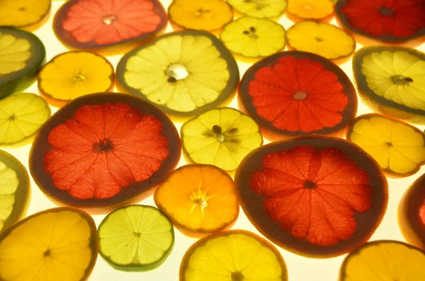 Sliced citrus fruits background on a light table. Transparent citrus fruit slices. Red grapefruit, oranges, lemons, lime, mandarins