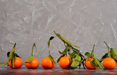 Taze mandalina, mandalina, paslı arka planda yeşil yapraklı mandalina.