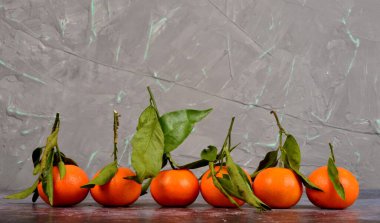 Taze mandalina, mandalina, paslı arka planda yeşil yapraklı mandalina.