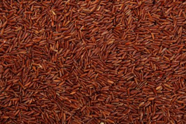 Çiğ kırmızı pirinç arka planı. Pişmemiş yabani pirinç, üst manzara.