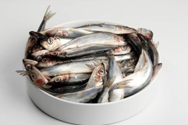 Beyaz arka planda beyaz porselen bir çanakta taze Baltık ringası. Taze gümüş balık.