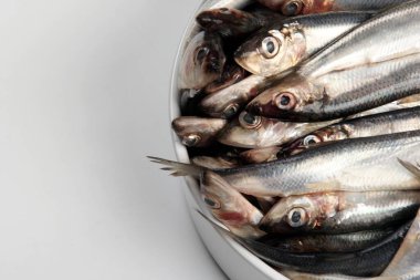 Beyaz arka planda beyaz porselen bir çanakta taze Baltık ringası. Taze gümüş balık.