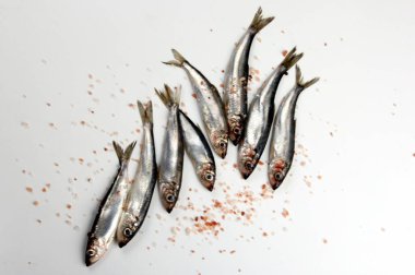 Beyaz bir zemin üzerinde pembe Himalaya tuzu bulunan taze çiğ Baltık ringası. Taze gümüş balık. 