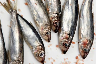 Beyaz bir zemin üzerinde pembe Himalaya tuzu bulunan taze çiğ Baltık ringası. Taze gümüş balık. 