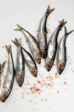 Beyaz bir zemin üzerinde pembe Himalaya tuzu bulunan taze çiğ Baltık ringası. Taze gümüş balık. 