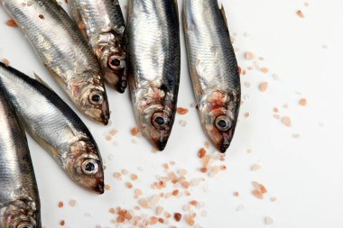 Beyaz bir zemin üzerinde pembe Himalaya tuzu bulunan taze çiğ Baltık ringası. Taze gümüş balık. 