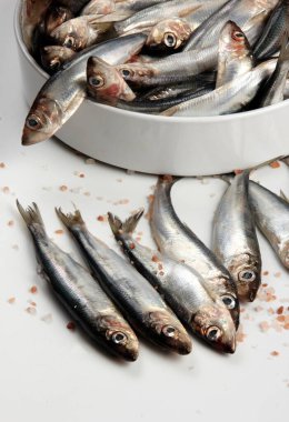 Beyaz arka planda beyaz porselen bir çanakta taze Baltık ringası. Taze gümüş balık.