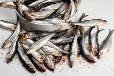 Beyaz arka planda beyaz porselen bir çanakta taze Baltık ringası. Taze gümüş balık.