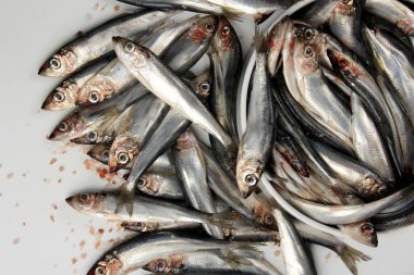 Beyaz bir zemin üzerinde pembe Himalaya tuzu bulunan taze çiğ Baltık ringası. Taze gümüş balık. 