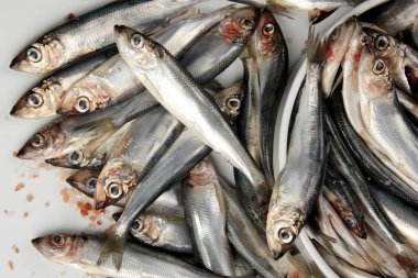 Beyaz bir zemin üzerinde pembe Himalaya tuzu bulunan taze çiğ Baltık ringası. Taze gümüş balık. 