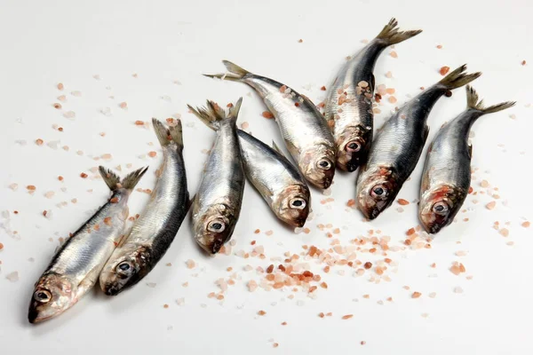 Beyaz bir zemin üzerinde pembe Himalaya tuzu bulunan taze çiğ Baltık ringası. Taze gümüş balık. 